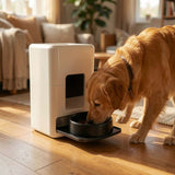Comedero Inteligente PetFeed WiFi con Cámara para Perros y Gatos