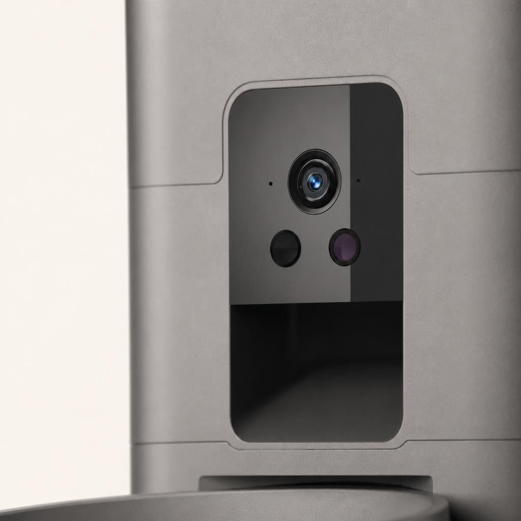 Camera monitoring